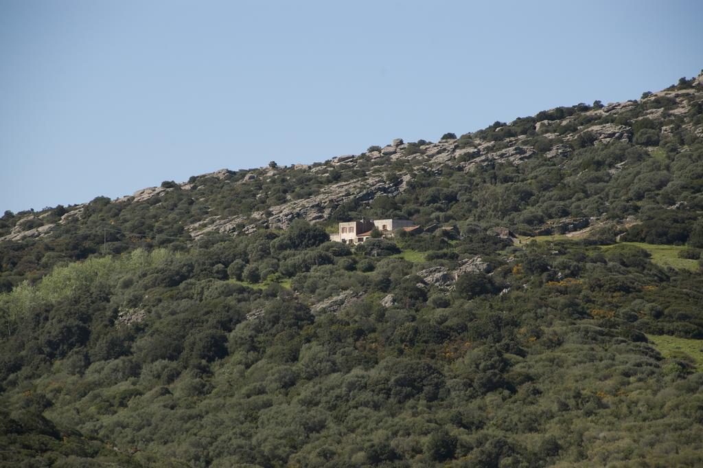 סאסארי Campi Elisi B&B מראה חיצוני תמונה