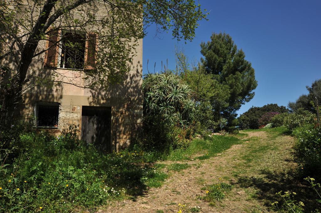 סאסארי Campi Elisi B&B מראה חיצוני תמונה